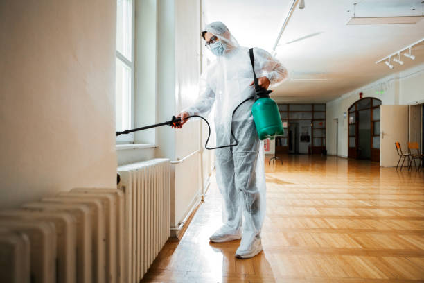 Best Pest Removal Services  in Big Beaver, PA