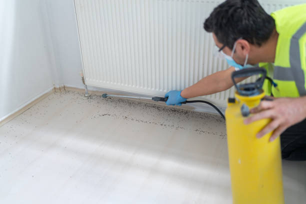 Best Flea Control Services  in Big Beaver, PA